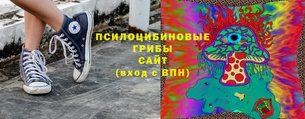 спайс Нея