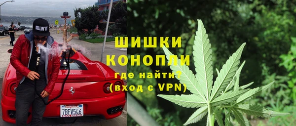 спайс Нея
