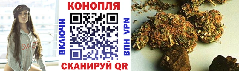 наркота  Саяногорск  Шишки марихуана сатива 